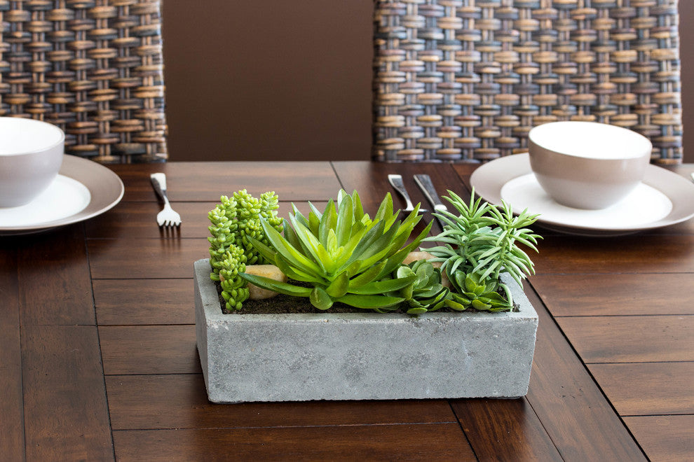 Succulent Garden With Concrete Planter, Green