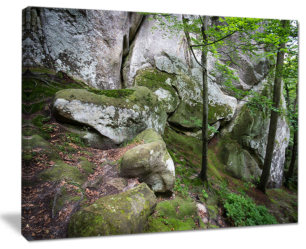"Deep Moss Forest With Rocks" Landscape Art Print Canvas, 40"x30"