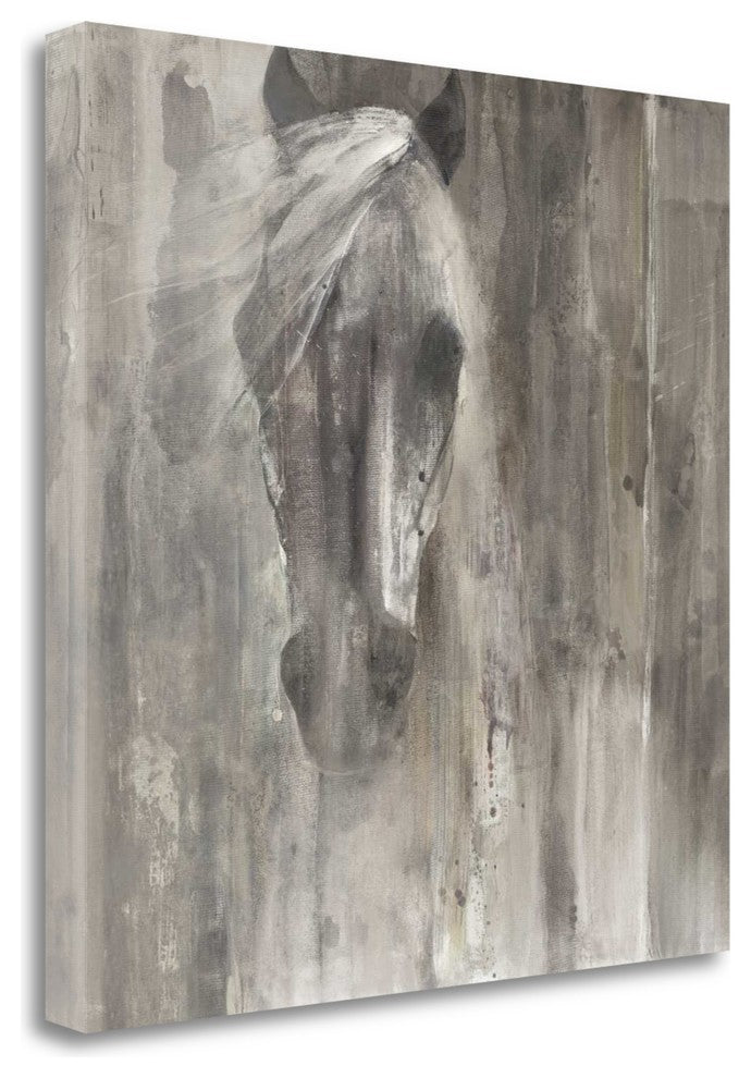 "Shadow Light" By Albena Hristova, Giclee Print on Gallery Wrap Canvas