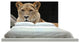 "Lion 34" Headboard