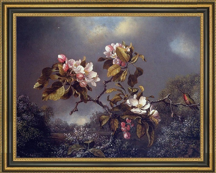 Martin Johnson Heade Apple Blossoms and Hummingbird Framed Canvas Print, 21"x28"