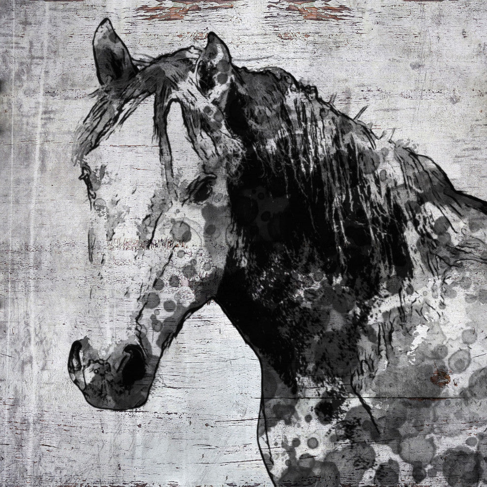 Marmont Hill, "California Horse" by Irena Orlov Painting Wrapped Canvas, 48x48