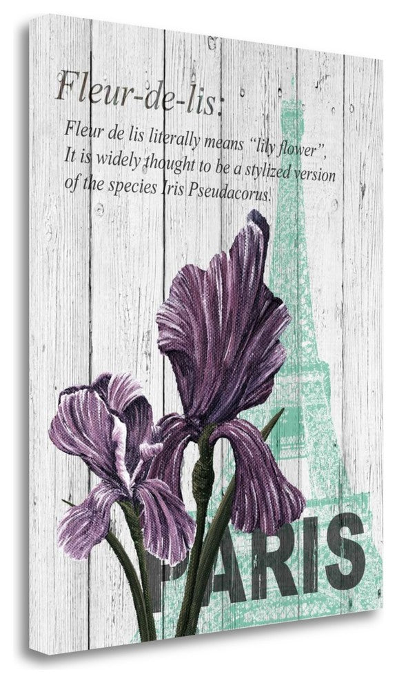 "Paris Iris" By Alicia Soave, Giclee Print on Gallery Wrap Canvas, Ready to Hang