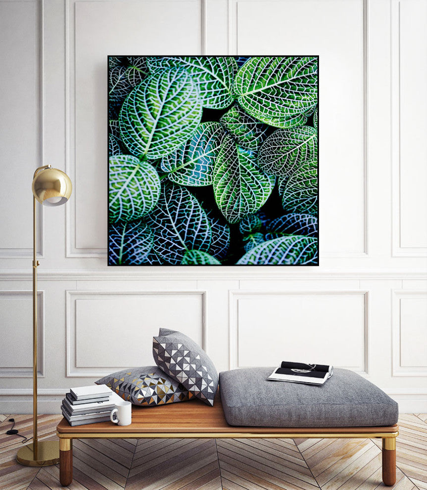 "Leaf VIII" CF Print, 20"x20"