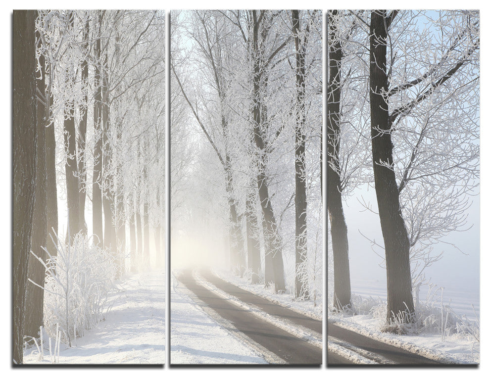 "Winter Lane in Foggy Morning" Photo Wall Art, 3 Panels, 36"x28"