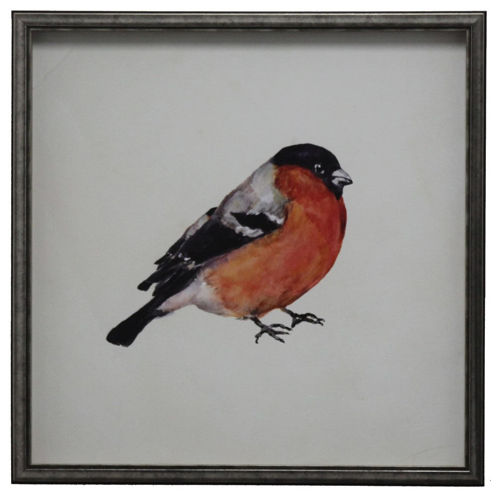 Bright Orange And Black Bird, Silver And Black Shadowbox