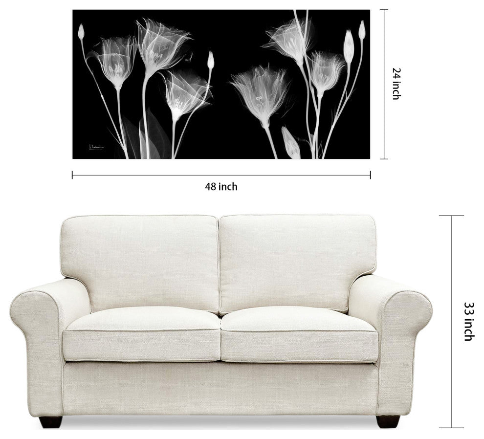 "Gentian Xray" Frameless Free Floating Panel Graphic Wall Art, 24"x48"