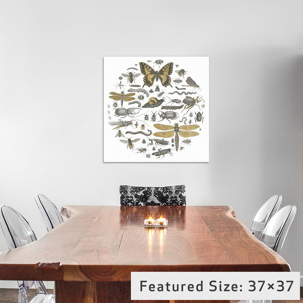 "Insect Circle II" by Wild Apple Portfolio, 37x37x1.5