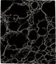 Now Closer A Signature Rug, 8'x10'