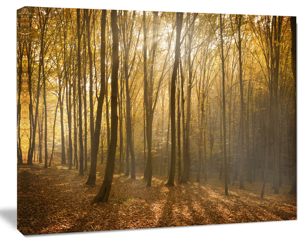 Thick Green Fall Forest with Fog, Forest Canvas Art Print, 20"x12"