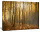 Thick Green Fall Forest with Fog, Forest Canvas Art Print, 20"x12"