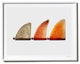 "Jeff Ho Single Fins", Surf Art Photograph, White Frame, 14''x18''