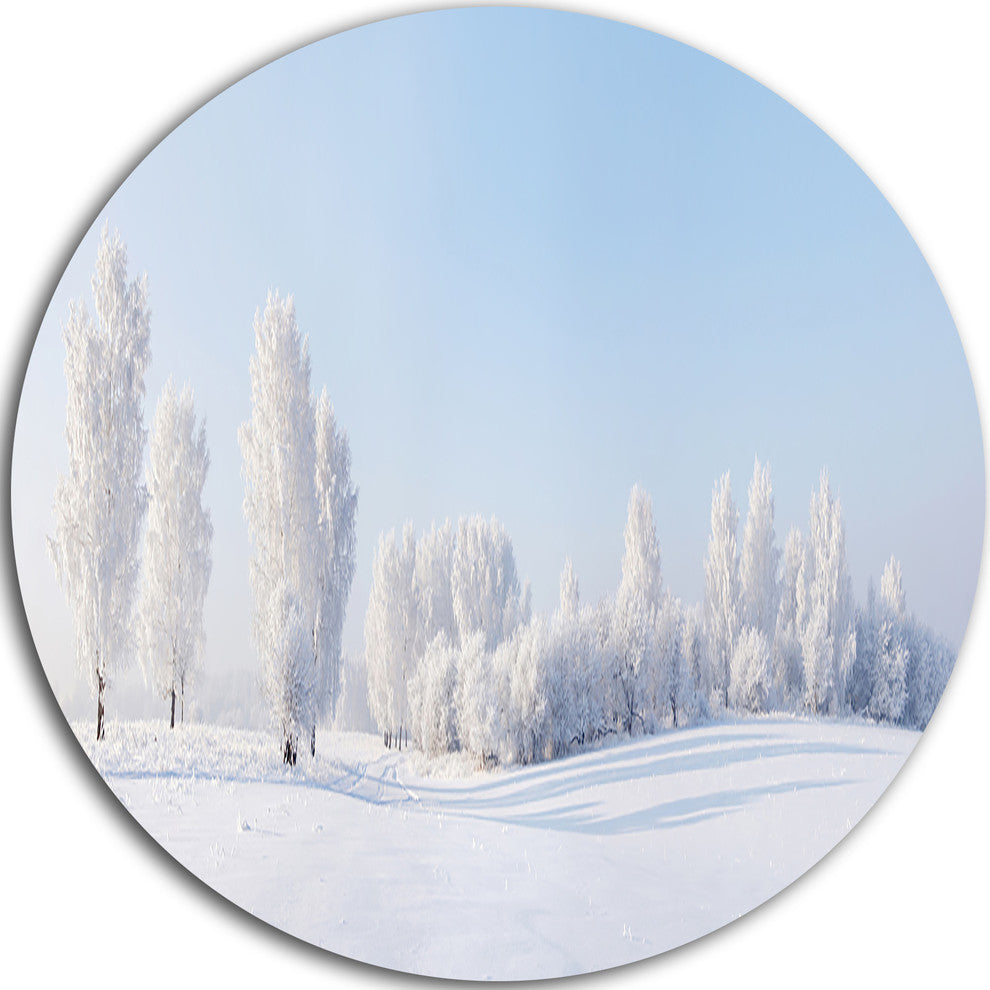 Winter Trees Covered With Frost, Landscape Disc Metal Wall Art, 23"