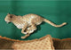 Charging Cheetah Frieze