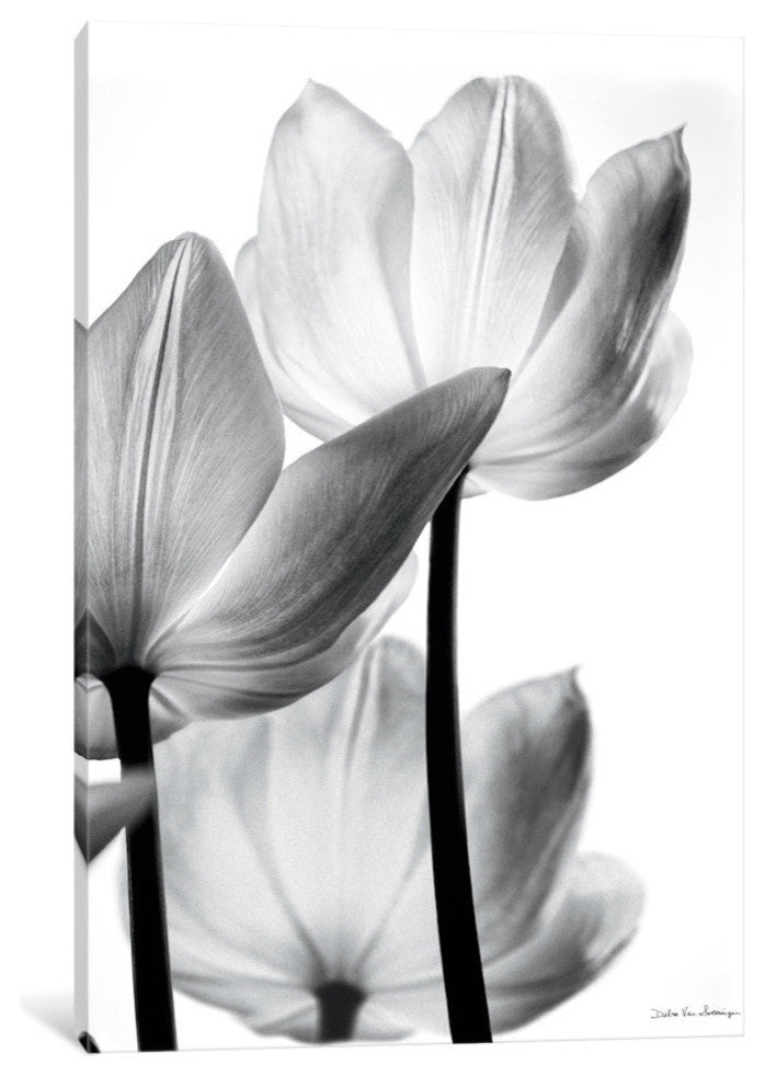 "Translucent Tulips III" by Debra von Swearingen, 26x18x1.5