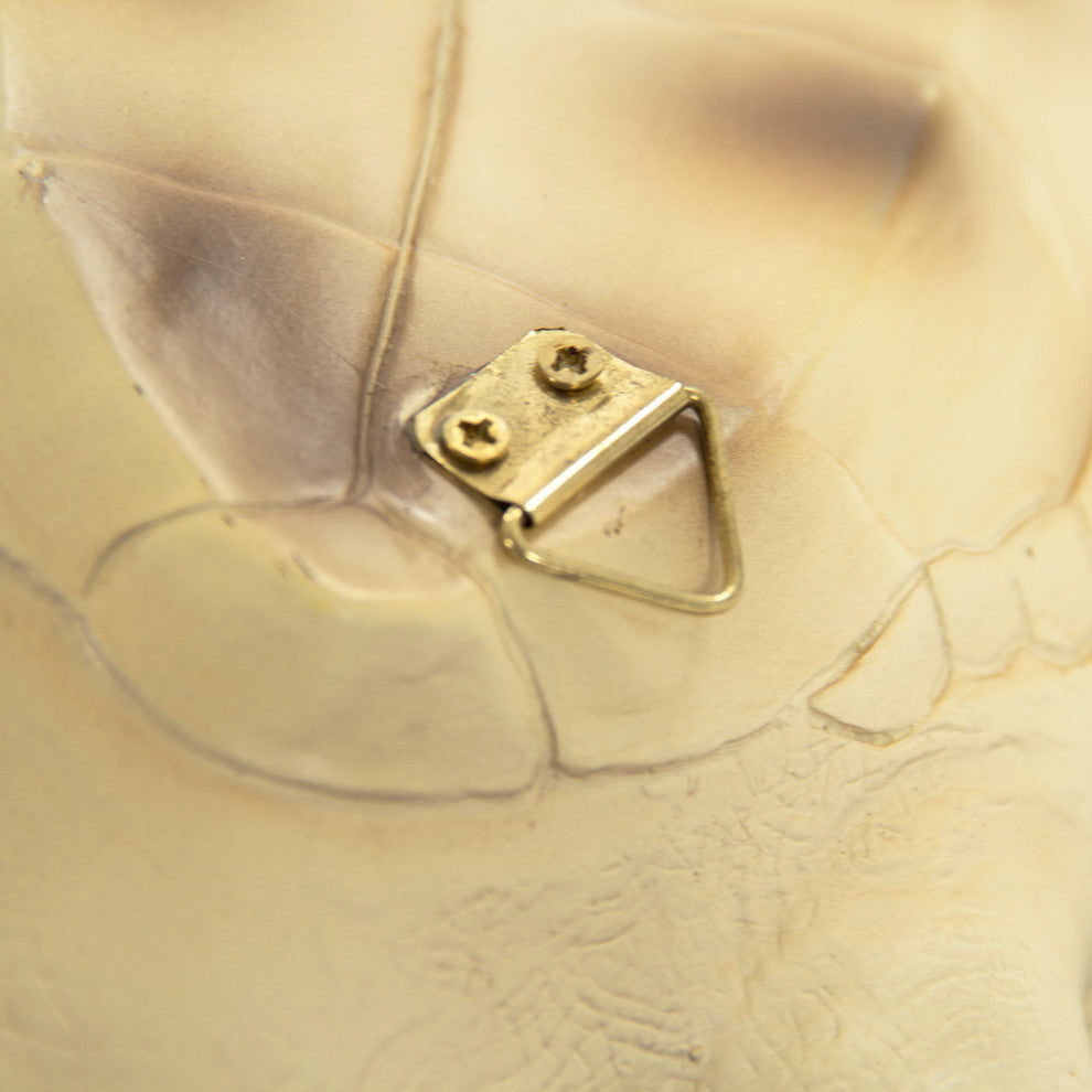 Sea Turtle Sculpture (L)