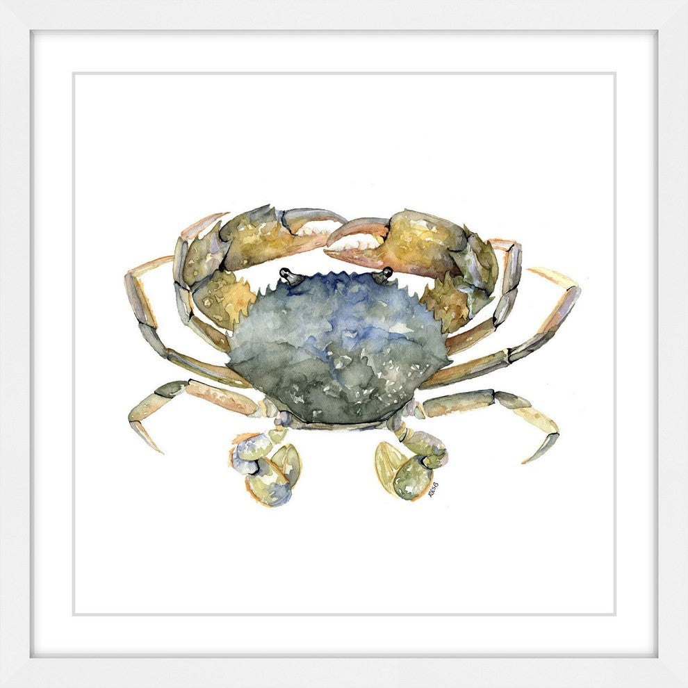 "Blue Crab" Framed Print by Rachel Byler
