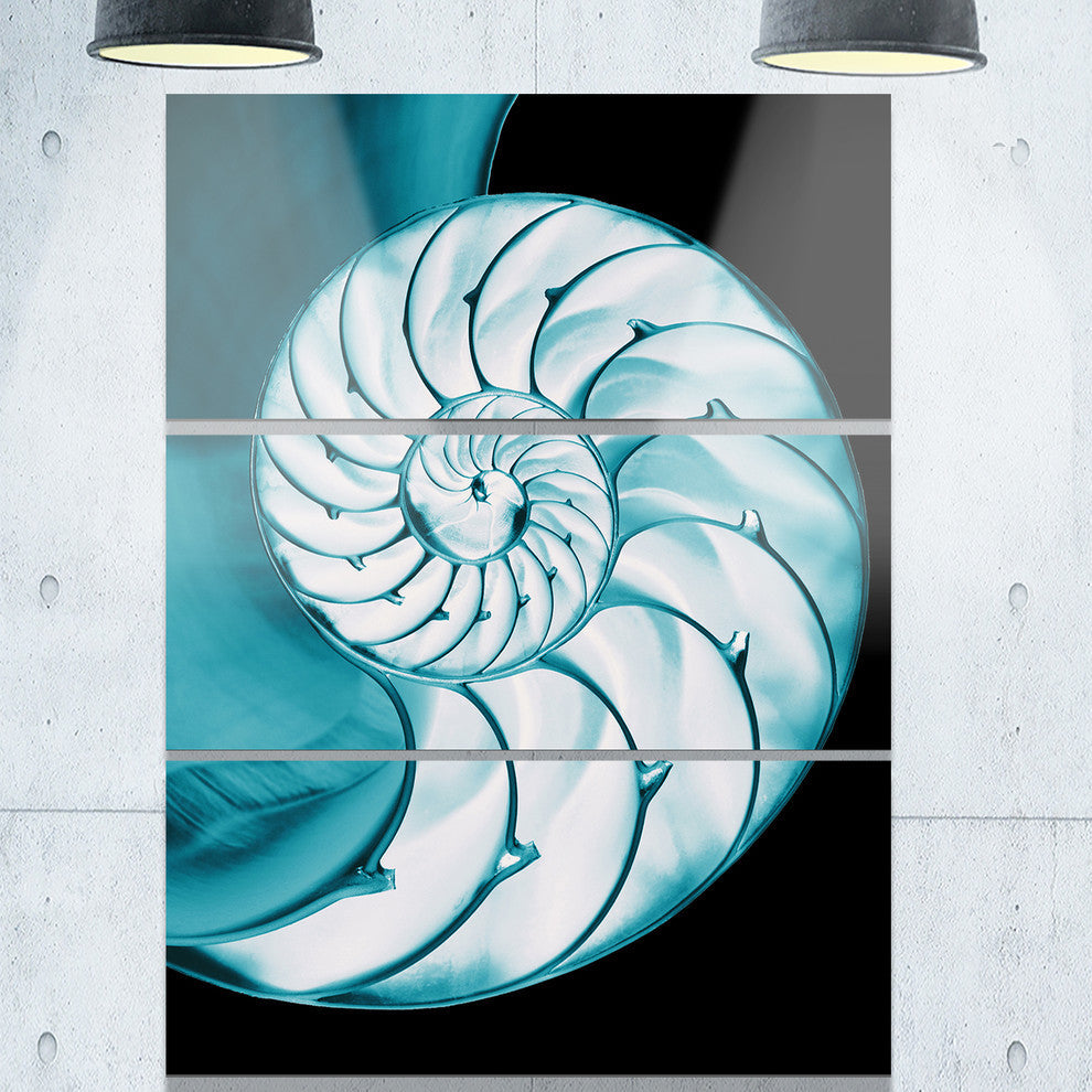 "Chambered Nautilus Shell" Metal Wall Art, 3 Panels, 28"x36"