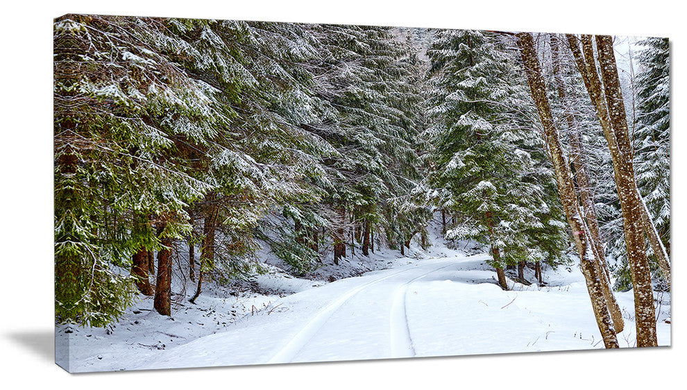 Snowy Road in the Forest, Landscape Canvas Art Print, 32"x16"