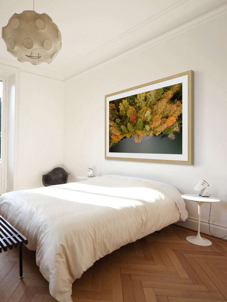 "Nature's Flora" Framed Print by Karolis Janulis