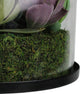 Artificial Mixed Succulent Arrangement in Round Glass Jar - 8"