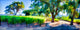 Vineyard Lane, Pano, Art, Giclee On Canvas, 36"x12"