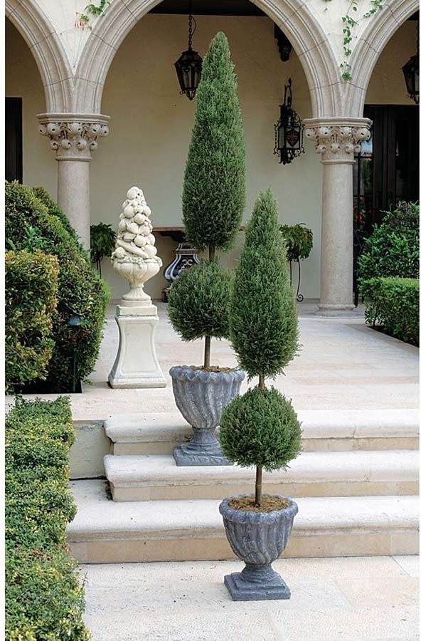 Classic Topiary, 48"