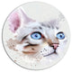 Cat With Blue Eyes Watercolor, Modern Animal Round Wall Art, 23"