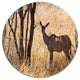 Grants Gazelle Standing In Long Grass, Animal Round Wall Art, 36"