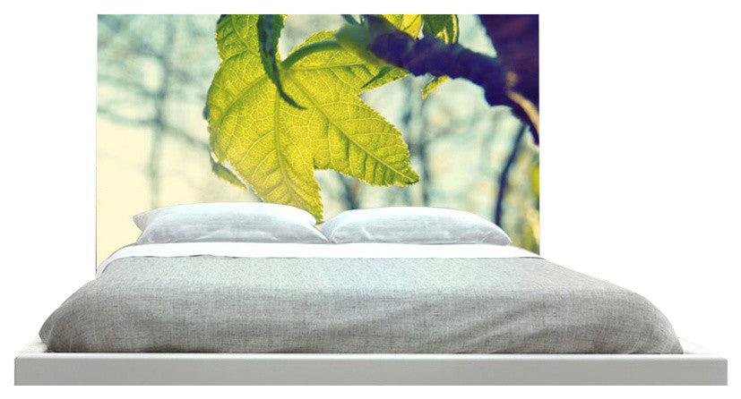"Tree Star" Headboard