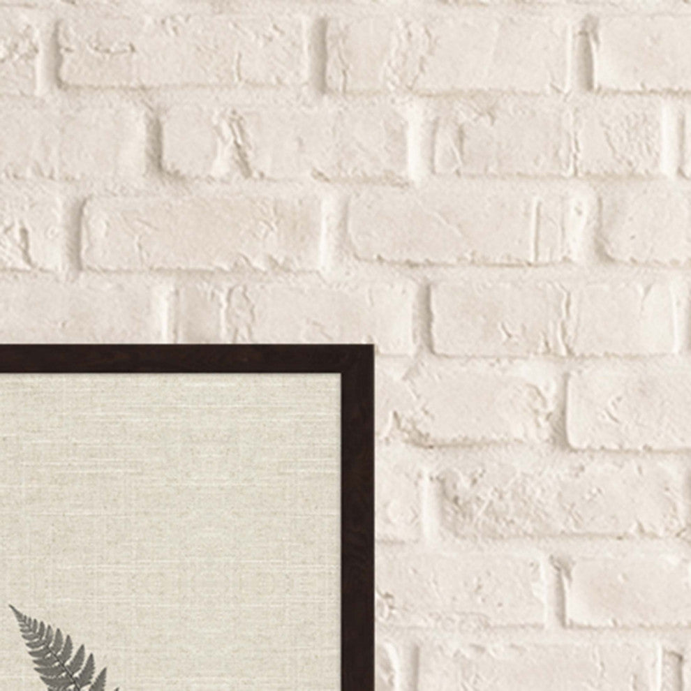 Modern Ferns II, Set of 2