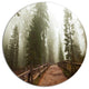 Foggy Sequoya National Park, Landscape Large Disc Metal Wall Art, 11"
