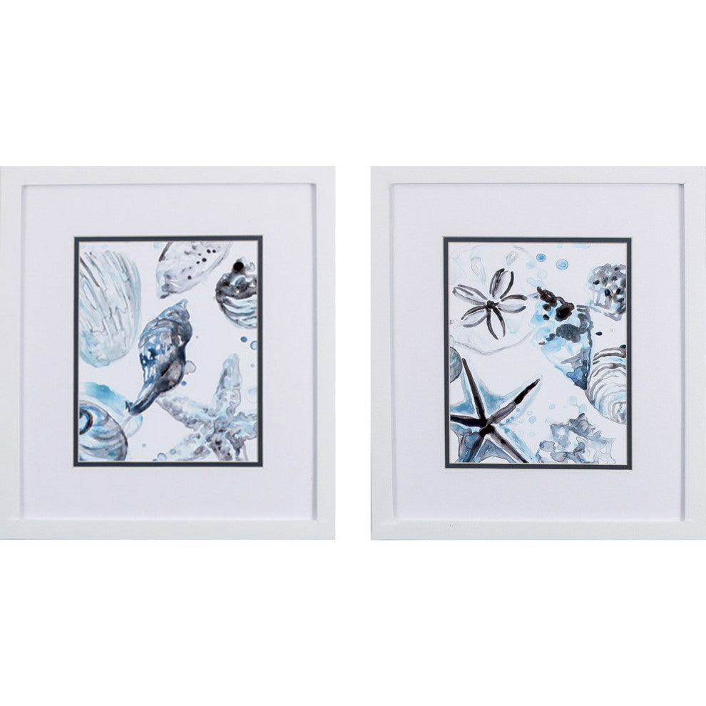 Cerulean Seashells B Framed Art, 2-Piece Set