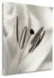 "Florison - 52" By Alan Blaustein, Giclee Print on Gallery Wrap Canvas