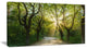Evening in Green Forest, Landscape Canvas Art Print, 40x20