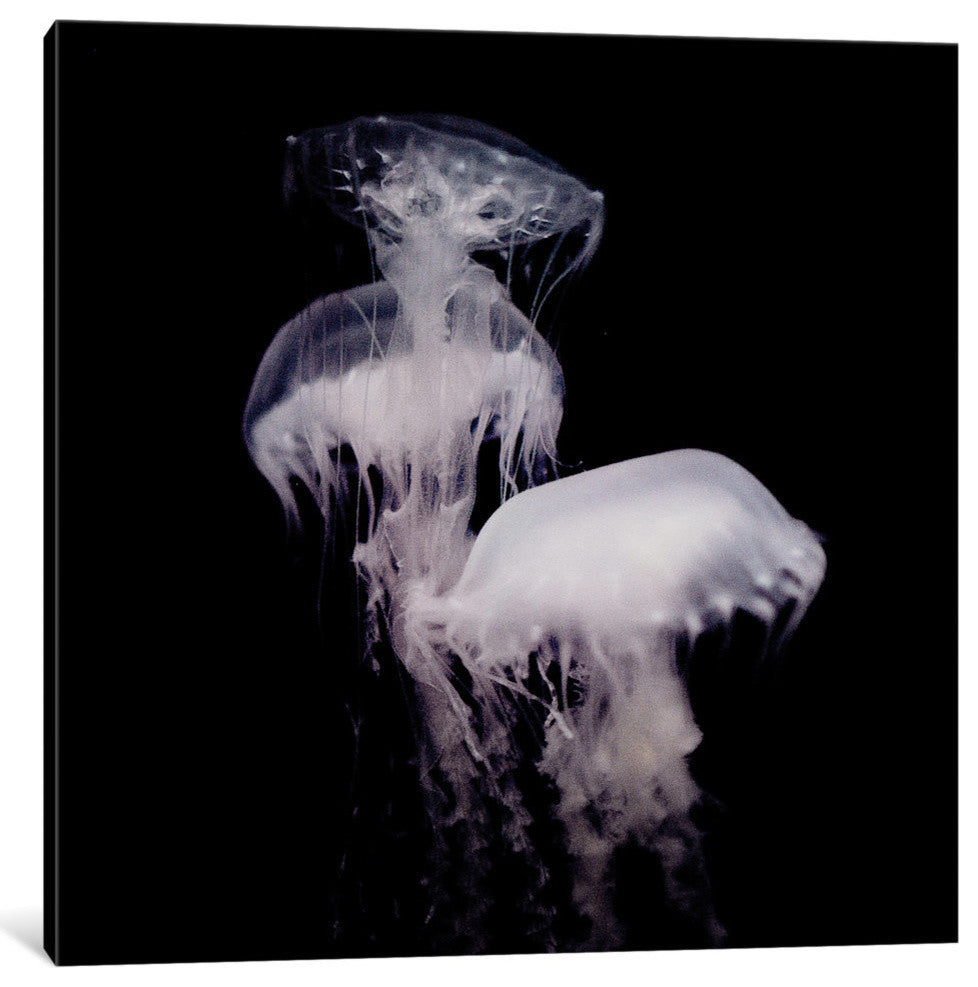"Ghosts Of The Abyss III" by Chelsea Victoria, 12x12x1.5