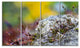 "Abstract Composition of Moss Flowers" Landscape Wall Art, 4 Panels, 48"x28"