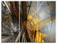 "Fractal Yellow Connected Stripes" Metal Wall Art, 3 Panels, 36"x28"