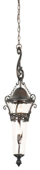 Anastasia Outdoor 2-Light Medium Hanging Lantern