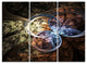"Dark Brown Fractal Flower Digital Art" Metal Wall Art, 3 Panels, 36"x28"