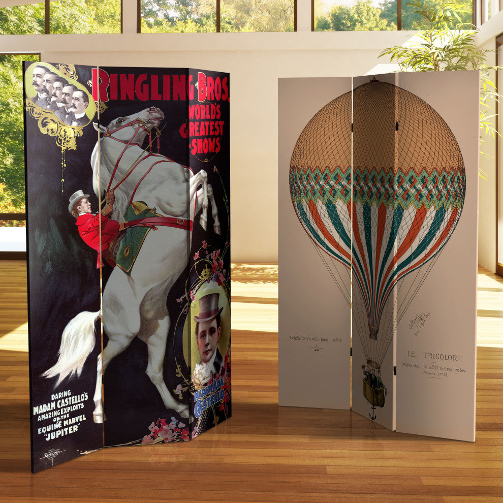 6' Tall Double Sided Circus Room Divider