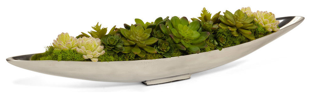 Succulents, Silver Boat