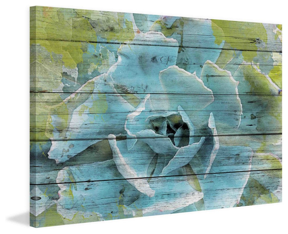 "Frosted Green Succulent" Painting Print on Canvas by Irena Orlov