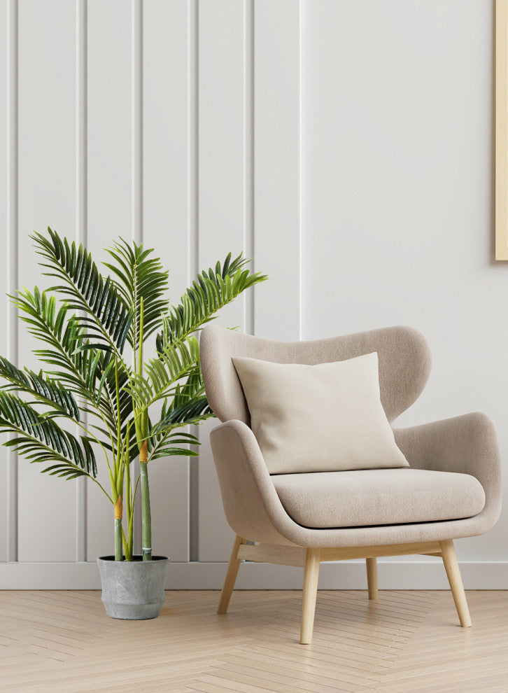 Golden Cane Palm Tree in Black Pot, 3'