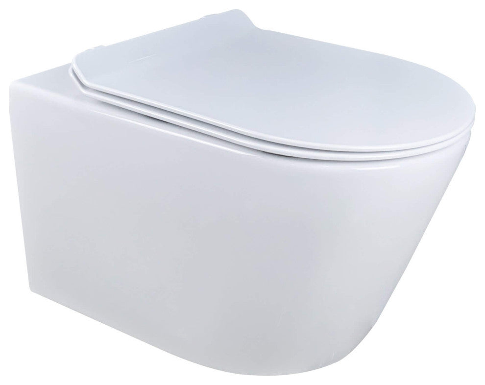 In-Wall Toilet Set, 2"x4" Carrier/Tank, White, Black Round Actuator