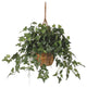 English Ivy Hanging Basket