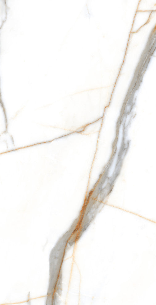 Calacatta Gold Porcelain Marble Look Matte Wall and Floor Tile, 24x48