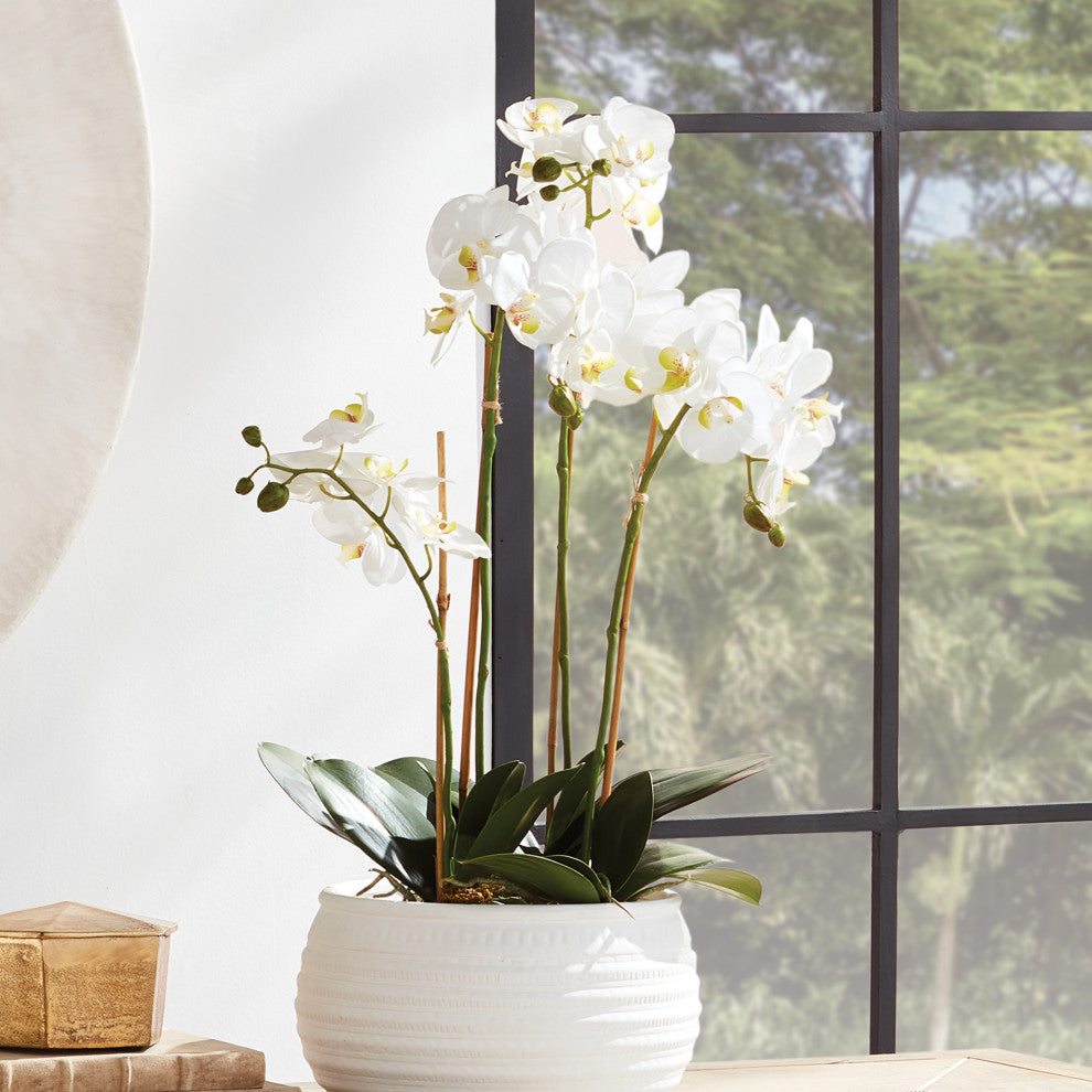 Orchid 25" Bowl Drop-In White