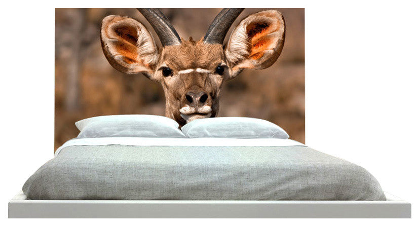 "Buck" Headboard