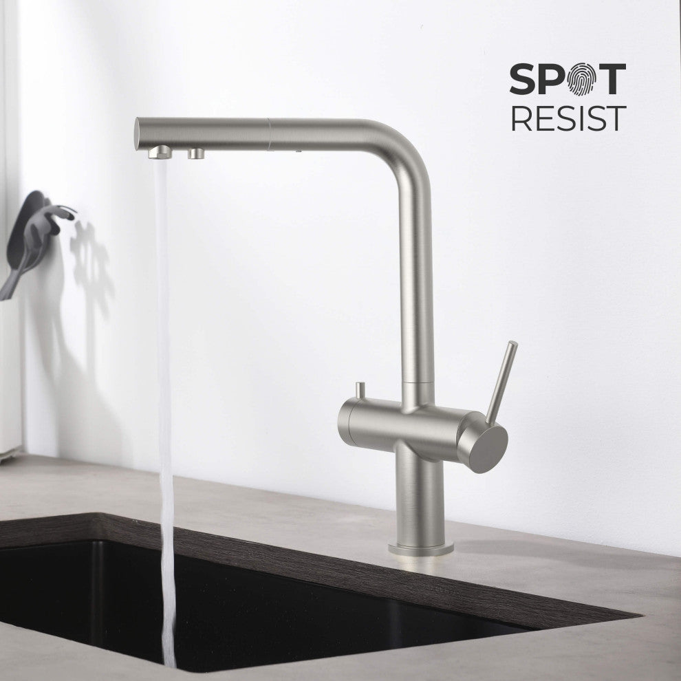 Circular 2-in-1 Water Filter Kitchen Pull Out Faucet, Brushed Nickel